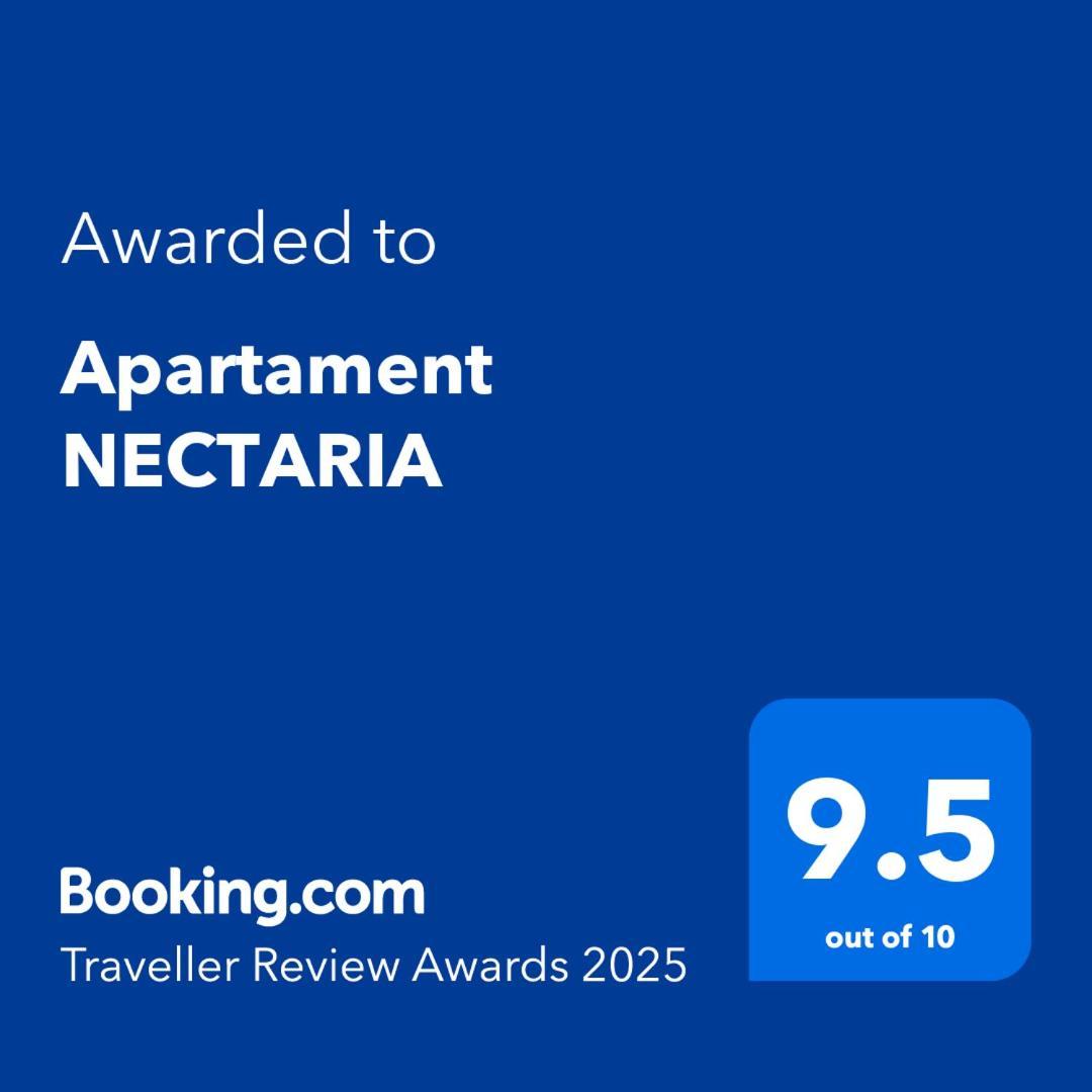 Apartament Nectaria Băile Herculane Extérieur photo